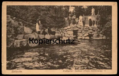 ALTE POSTKARTE KARLSRUHE STADTGARTEN SEELÖWEN OTARIA DELLA CALIFORNIA ZUSCHAUER FÜTTERUNG ZOO Ansichtskarte postcard cpa