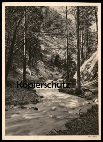 ALTE POSTKARTE LANDSCHAFT BACH FLUSS WALD TAL EMMY THIELE LANDSCHAFTSSTUDIE Fotografie Photographie photography postcard