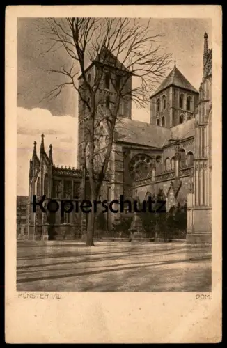 ÄLTERE POSTKARTE MÜNSTER IN WESTFALEN DOM Kirche church église Ansichtskarte cpa postcard AK