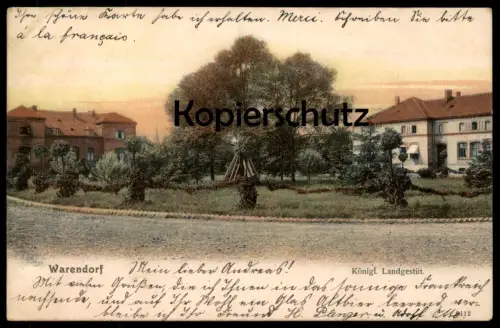 ALTE POSTKARTE WARENDORF KÖNIGLICHES LANDGESTÜT 1904 Ansichtskarte AK cpa postcard