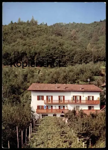 ÄLTERE POSTKARTE LANA BEI MERAN SCHRENTEWEINHOF INMITTEN VON OBST- UND WEINKULTUREN Ansichtskarte AK cpa postcard
