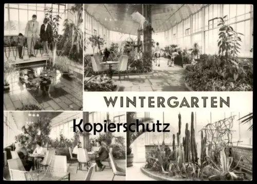 ÄLTERE POSTKARTE FRANKFURT ODER WINTERGARTEN HO GASTSTÄTTE AM ALTEN WASSERTURM Teich Seerose stamp XX. Olympiade Olympia