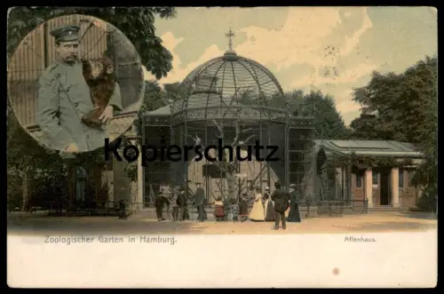 ALTE POSTKARTE ZOOLOGISCHER GARTEN HAMBURG AFFENHAUS WÄRTER ZOO AFFE ape singe monkey Tier animal cpa postcard AK
