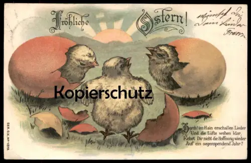 ALTE POSTKARTE FRÖHLICHE OSTERN KÜKEN EIER HORCH! IM HAIN ERSCHALLEN LIEDER UND... chick easter paques postcard AK cpa
