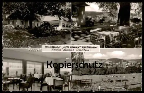 ALTE POSTKARTE WALDHAUS DREI BÄNKE RODELHAUS NEHEIM I AN DER RUHR Arnsberg Neheim-Hüsten postcard Ansichtskarte