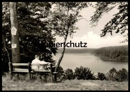 ÄLTERE POSTKARTE NEUGLOBSOW AM PEETSCHSEE PAAR EHEPAAR AUF BANK RUHEBANK couple Mann & Frau Ansichtskarte cpa postcard