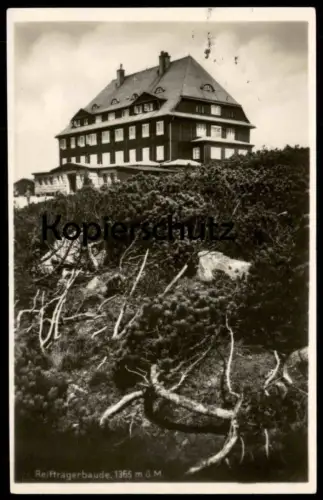 ALTE POSTKARTE RIESENGEBIRGE REIFTRÄGERBAUDE 1931 ÄSTE WURZELN Schronisko Szrenicy Schlesien Ansichtskarte cpa postcard