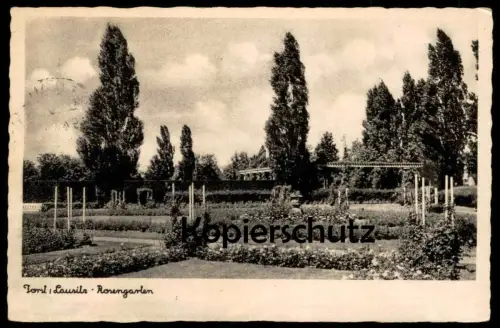 ALTE POSTKARTE FORST LAUSITZ ROSENGARTEN 1944 GARTEN Park parc Ansichtskarte AK postcard AK