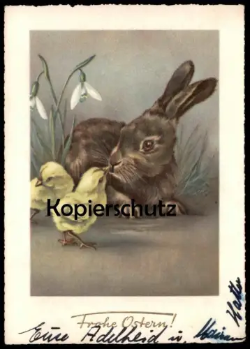 ÄLTERE POSTKARTE FROHE OSTERN HASE KÜKEN OSTERHASE easter hare rabbit lièvre paques buck chick Ansichtskarte AK postcard