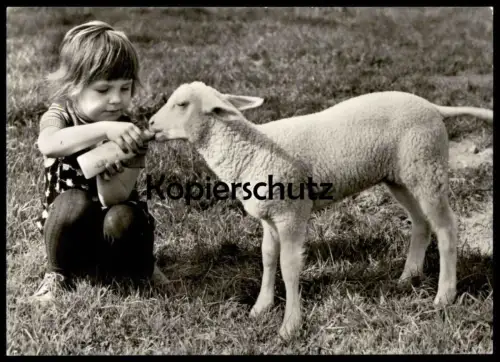 ÄLTERE POSTKARTE MÄDCHEN KIND FÜTTERT MIT FLASCHE EIN LAMM SCHAF PLANET VERLAG BERLIN sheep lamb Ansichtskarte AK