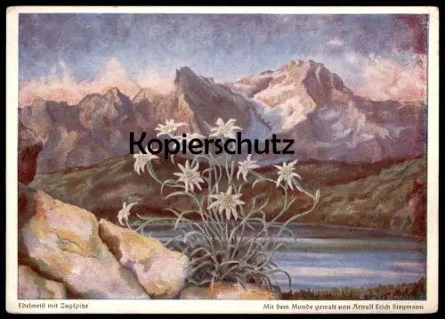 ÄLTERE POSTKARTE EDELWEISS MIT ZUGSPITZE ARNULF ERICH STEGMANN MIT DEM MUNDE GEMALT Alpen Ansichtskarte cpa postcard AK