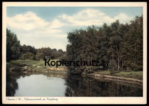 ALTE POSTKARTE HAMM IN WESTFALEN SCHWANENTEICH IM NORDRING Teich See Ansichtskarte AK postcard cpa