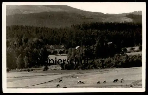 ALTE POSTKARTE BAD FLINSBERG IM ISERGEBIRGE FREMDENHEIM FRIEDRICHSHÖH Swieradow Zdroj Schlesien cpa postcard AK