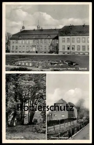 ALTE POSTKARTE WILLEBADESSEN WESTFALEN SCHLOSS PENSION HOLLMANN DEUTSCHES HAUS IM EGGEGEBIRGE Ansichtskarte postcard AK