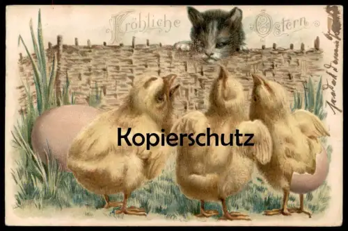 ALTE PRÄGE POSTKARTE FRÖHLICHE OSTERN KATZE BEOBACHTET KÜKEN EI cat chat easter embossed AK Ansichtskarte postcard cpa
