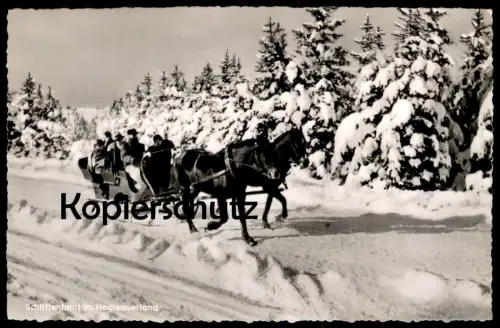 ÄLTERE POSTKARTE SCHLITTENFAHRT IM HOCHSAUERLAND SAUERLAND LUGE SLEDGE SLEIGH Neige Snow Horse Pferd Cheval postcard cpa