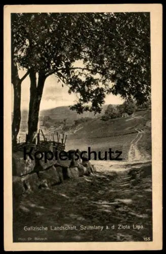 ALTE POSTKARTE SZUMLANY A. D. ZLOTA LIPA GALIZISCHE LANDSCHAFT UKRAINA Ukraine postcard Ansichtskarte cpa AK