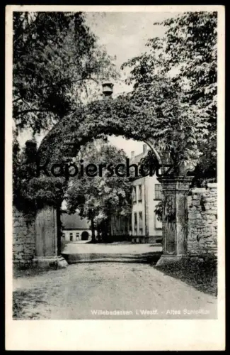 ALTE POSTKARTE WILLEBADESSEN IN WESTFALEN ALTES SCHLOSSTOR SCHLOSS TOR castle chateau Ansichtskarte AK postcard cpa