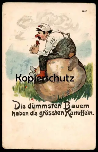ALTE POSTKARTE DIE DÜMMSTEN BAUERN HABEN DIE GRÖSSTEN KARTOFFELN DICKSTEN Landwirt Bauer Humor humour Ansichtskarte cpa