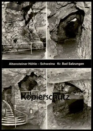 ÄLTERE POSTKARTE ALTENSTEINER HÖHLE SCHWEINA KREIS SALZUNGEN BAD LIEBENSTEIN Thüringen Grotte cave AK cpa postcard