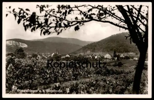 ALTE POSTKARTE GIMMELDINGEN AN DER WEINSTRASSE PARNORAMA TOTALANSICHT Ansichtskarte cpa postcard AK