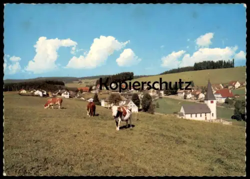ÄLTERE POSTKARTE SOMMERFRISCHE & WINTERSPORTPLATZ NEUKIRCH SCHWARZWALD FURTWANGEN KÜHE cows vaches Ansichtskarte AK cpa