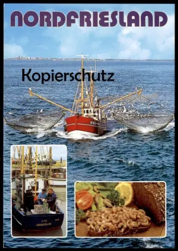 ÄLTERE POSTKARTE NORDFRIESLAND KRABBEN AUS DER NORDSEE KRABBENKUTTER SCHIFF KUTTER SCHIFF UTE crabes crabs ship postcard