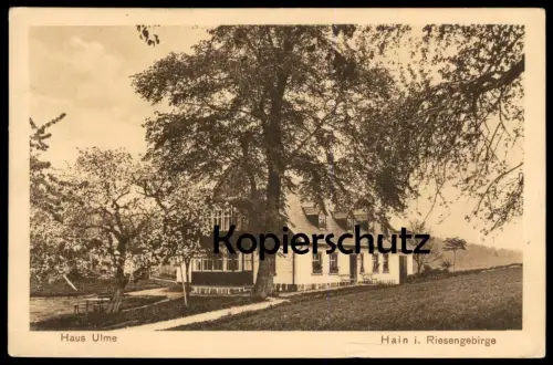 ALTE POSTKARTE HAIN IM RIESENGEBIRGE HAUS ULME SCHLESIEN PRZESIEKA POLSKA Ansichtskarte AK cpa postcard