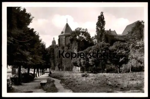ALTE POSTKARTE FRANKFURT-HÖCHST AM MAIN ANLAGEN AM MAIN Park Garten Ansichtskarte AK cpa postcard