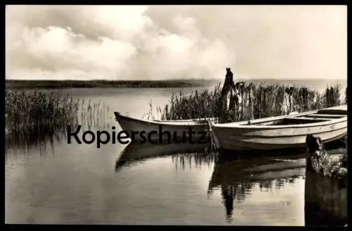 ÄLTERE POSTKARTE OSTSEEBAD DIERHAGEN BLICK AUF DEN BODDEN BOOT FISCHERBOOT PANORAMA WASSER Ansichtskarte postcard