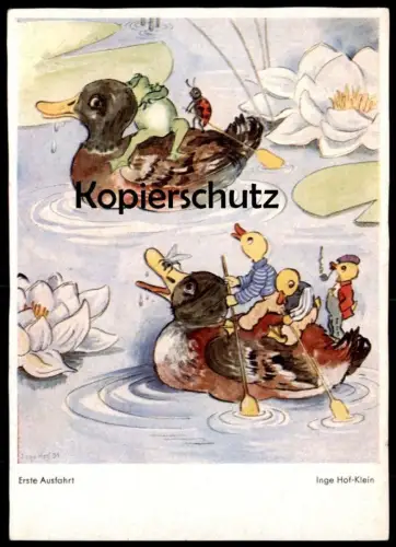 ALTE POSTKARTE PHANTASIE ERSTE AUSFAHRT FROSCH KÄFER ENTE GEKLEIDET INGE HOF-KLEIN frog beetle duck AK cpa postcard