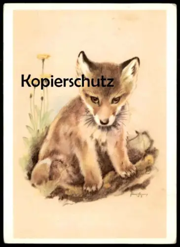 ÄLTERE POSTKARTE JUNGFUCHS MALER HANS LANG INNSBRUCK FUCHS fox renard Ansichtskarten AK cpa postcard