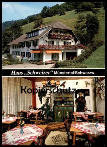 ÄLTERE POSTKARTE MÜNSTERTAL HAUS SCHWEIZER FAMILIE PFEFFERLE ROTENBUCK SCHWARZWALD EULE OWL Ansichtskarte postcard cpa