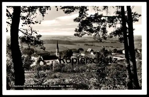 ÄLTERE POSTKARTE SOMMERFRISCHE BÜCHLBERG BEI PASSAU PANORAMA BAYERISCHER WALD AK Ansichtskarte cpa postcard