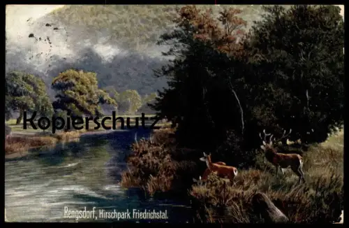 ALTE KÜNSTLER POSTKARTE RENGSDORF WALDBREITBACH HIRSCHPARK FRIEDRICHSTAL HIRSCH WIEDTAL Reh roe deer chevreuil AK cpa