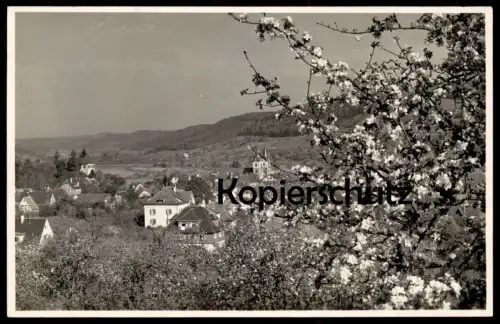 ALTE POSTKARTE MURRHARDT PANORAMA GESAMTANSICHT KIRSCHBLÜTE KIRSCHE BADEN-WÜRTTEMBERG Ansichtskarte AK cpa postcard