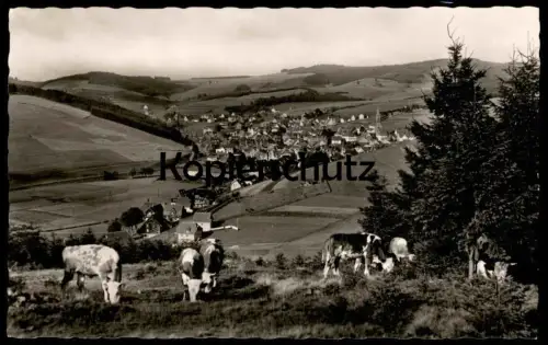ÄLTERE POSTKARTE FURTWANGEN SCHWARZWALD PANORAMA KÜHE cows vaches Ansichtskarte AK cpa postcard