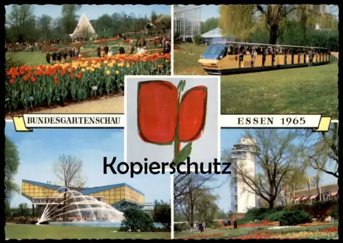 ÄLTERE POSTKARTE ESSEN BUNDESGARTENSCHAU 1965 BUGA BAHN ZUG TRAIN BLUMEN TULPEN Ansichtskarte AK postcard cpa