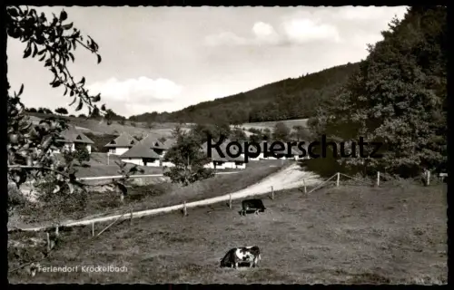 ÄLTERE POSTKARTE FERIENDORF KRÖCKELBACH FÜRTH IM ODENWALD BERGSTRASSE Kühe Kuh cows cow Ansichtskarte AK cpa postcard