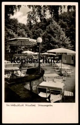 ALTE POSTKARTE DÜSSELDORF DIE WOLFSSCHLUCHT RESTAURANT TERRASSENGARTEN GRAFENBERGER WALD Ansichtskarte AK cpa postcard