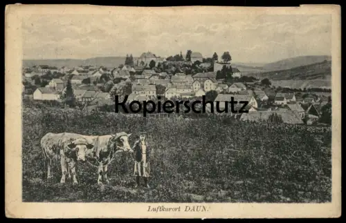 ALTE POSTKARTE LUFTKURORT DAUN EIFEL JUNGE MIT KÜHEN JUNGER MANN KUH KÜHE HIRTE PANORAMA Ansichtskarte AK cpa postcard