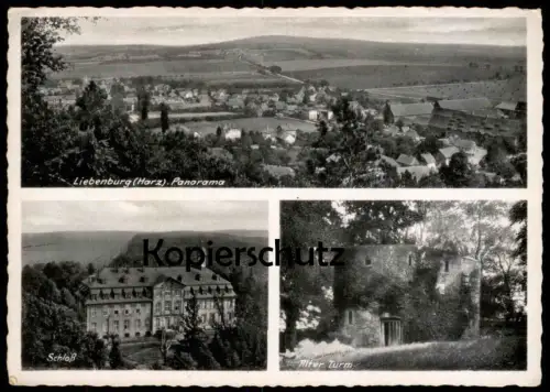 ÄLTERE POSTKARTE LIEBENBURG AM HARZ PANORAMA SCHLOSS ALTER TURM KREIS GOSLAR castle tower Ansichtskarte cpa AK postcard