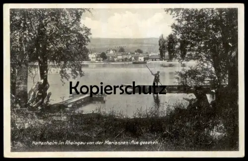 ALTE POSTKARTE HATTENHEIM IM RHEINGAU VON DER MARIANNEN-AUE GESEHEN ELTVILLE AM RHEIN STOCHERKAHN Ansichtskarte AK cpa