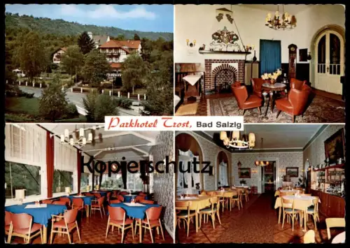 ÄLTERE POSTKARTE BAD SALZIG PARKHOTEL TROST MIT SCHWEIZERHAUS KAMIN HOTEL BOPPARD Ansichtskarte cpa postcard AK