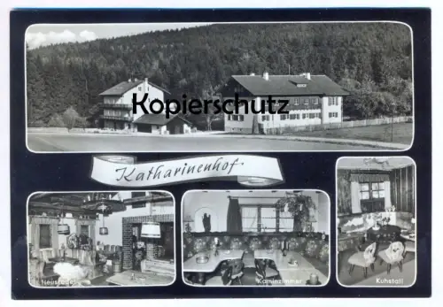 ÄLTERE POSTKARTE TREFFELSTEIN KATHARINENHOF HEUSTADEL KUHSTALL BAHNSTATION WALDMÜNCHEN TIEFENBACH Ansichtskarte AK cpa