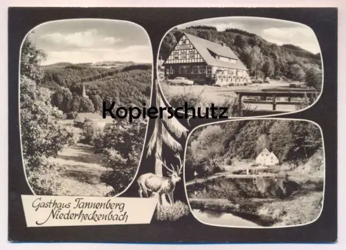 ÄLTERE POSTKARTE NIEDERHECKENBACH GASTHAUS TANNENBERG BESITZER G. FISANG HECKENBACH ALTENAHR Ansichtskarte cpa postcard