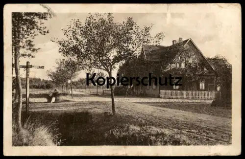 ALTE POSTKARTE LADBERGEN HÖLTER WESTFALEN ZUM HEIDEBLÜMCHEN GASTSTÄTTE INHABER G. GRAVEMEIER Ansichtskarte cpa postcard