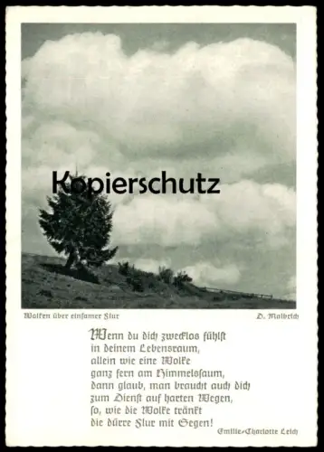 ALTE KÜNSTLER POSTKARTE WOLKEN ÜBER EINSAMER FLUR GEDICHT EMILIE-CHARLOTTE LEICH BISCHOF & KLEIN LENGERICH Ansichtskarte