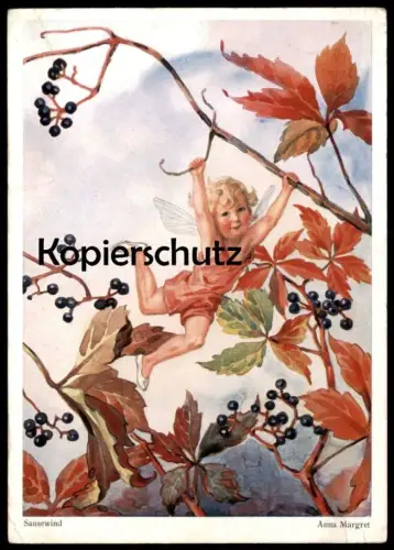 ALTE POSTKARTE SAUSEWIND ENGEL ELFE BLUME PHANTASIE KIND ANNA MARGRET elf angel fantasy Ansichtskarte postcard cpa AK