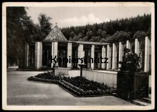 ALTE POSTKARTE BAD ELSTER SALZQUELLE QUELLE KURPARK source spring Ansichtskarte AK cpa postcard